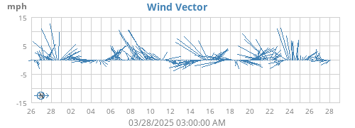 Wind Vector