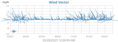 Wind Vector